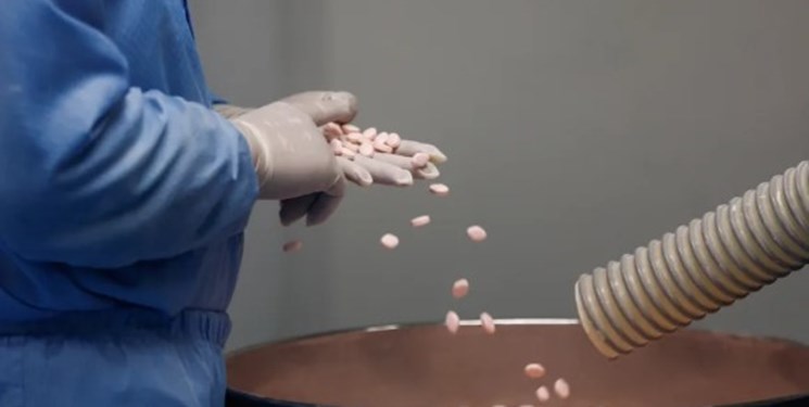 14020419000275 Test PhotoN