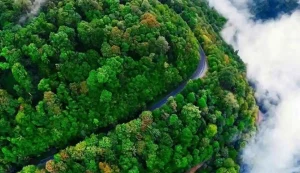 اقامت ۵ میلیون مسافر در گیلان طی ۲ روز اخیر – تجارتنیوز 8 اقامت ۵ میلیون مسافر در گیلان طی ۲ روز اخیر