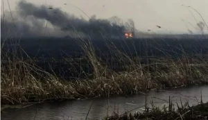 دود آتش سوزی هورالعظیم برخی شهرهای خوزستان را فراگرفت – تجارتنیوز 3 دود آتش سوزی هورالعظیم برخی شهرهای خوزستان را فراگرفت