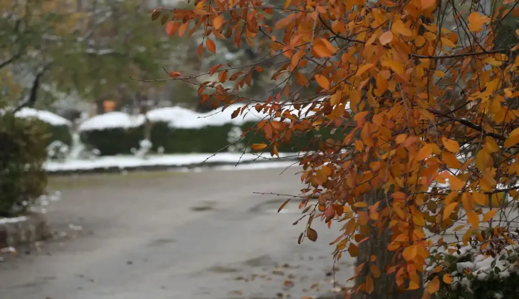 برف پاییزی ارتفاعات شمال استان تهران را سفیدپوش کرد