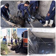 لایروبی ۷۵۰۰متر از کانال ها و حوضچه ها منطقه 9 تهران