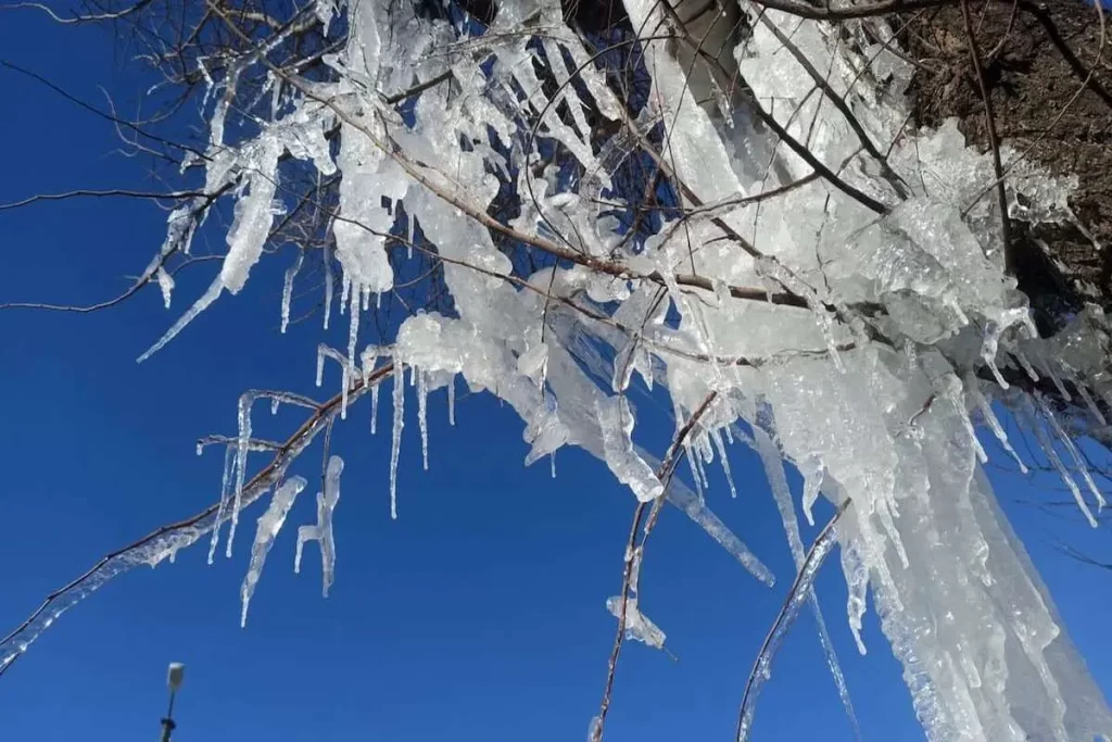 فردا ۱۷ مرکز استان دمای صِفر درجه را تجربه می‌کنند