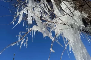 فردا ۱۷ مرکز استان دمای صِفر درجه را تجربه می‌کنند