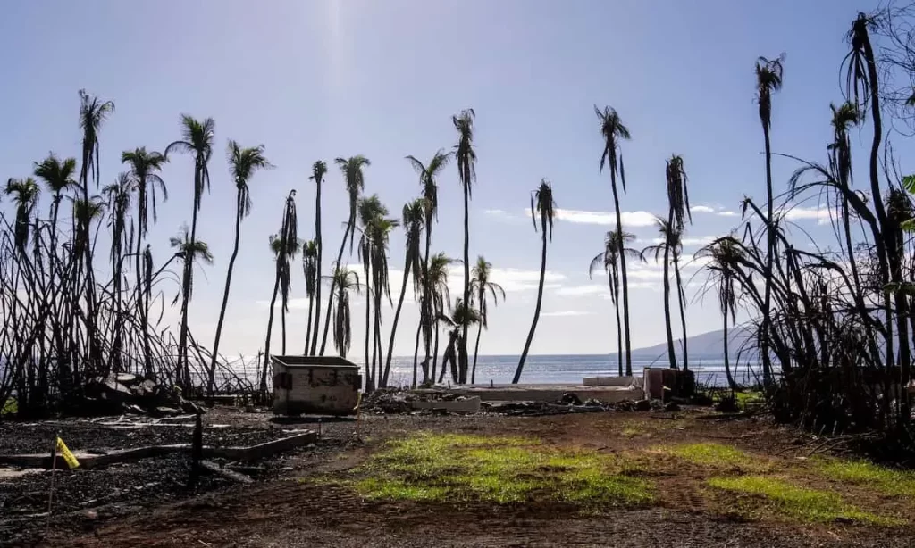 چند درصد از آمریکایی‌ها به تغییرات اقلیمی اعتقادی ندارند؟