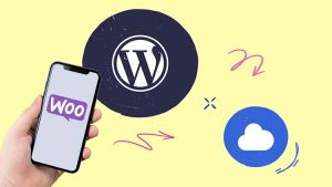 هاست مناسب فروشگاه اینترنتی