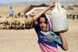 ۴۰ درصد عشایر از آب پایدار بهره‌مند نیستند