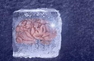 دانشمندان چینی با ترکیب شیمیایی جدید مغز منجمد ۱۸ ماهه را دوباره احیا کردند