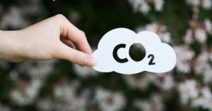 گوگل برای نخستین بار اقدام به خرید اعتبار کربن برای کاهش اثرات تغییرات اقلیمی کرد