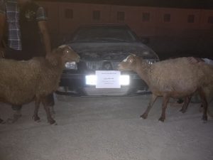 دستگیری سارقان توسط مرزبانان هنگ مرزی سرخس_دلخوش 18 دستگیری سارقان توسط مرزبانان هنگ مرزی سرخس