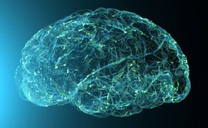 دو مرحله مخرب در بیماری آلزایمر باعث آسیب به مغز می‌شود