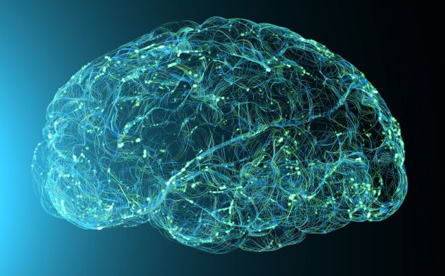 دو مرحله مخرب در بیماری آلزایمر باعث آسیب به مغز می‌شود