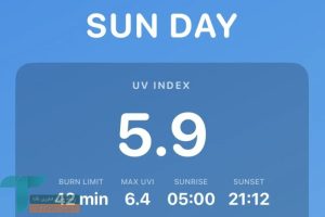 فراتر از یک اپلیکیشن ویتامین D: برگشت جک دورسی به کدنویسی_دلخوش 19 فراتر از یک اپلیکیشن ویتامین D: بازگشت جک دورسی به کدنویسی